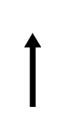 濟(jì)寧吊籃租賃